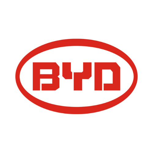 Piston Ring For BYD