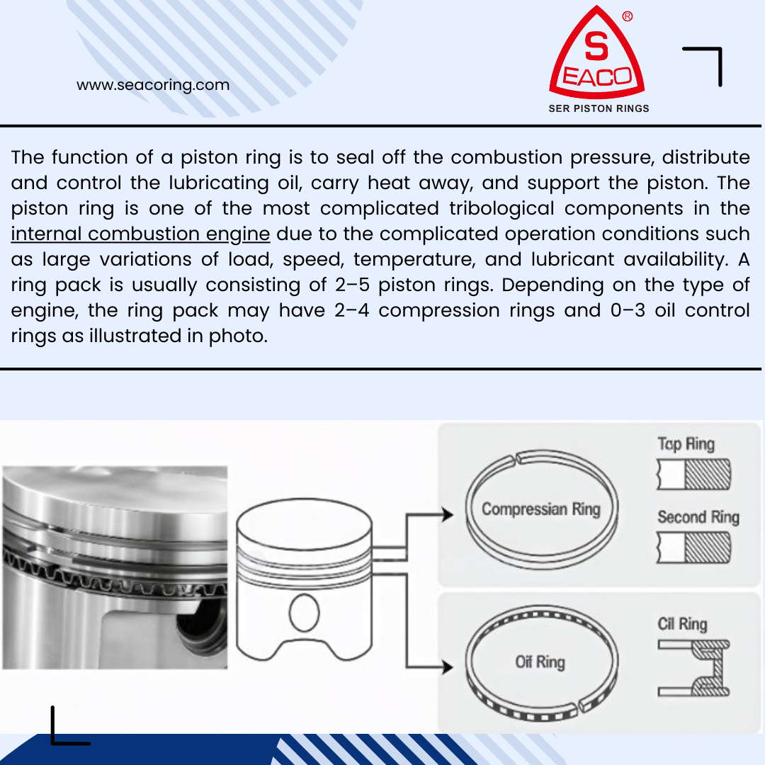 113-8-7傳 113-8-7傳